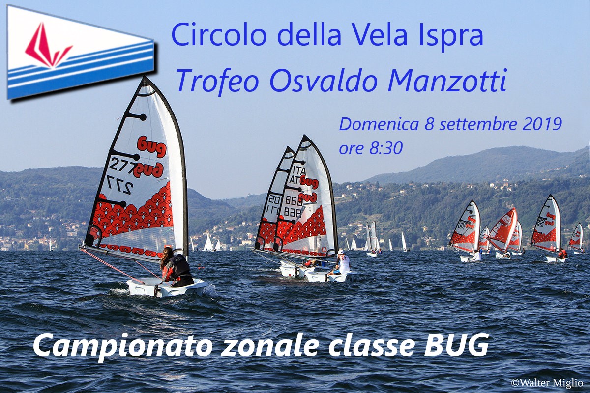 Zonale Bug 2019